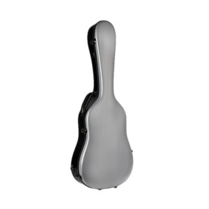 Acoustic guitar case